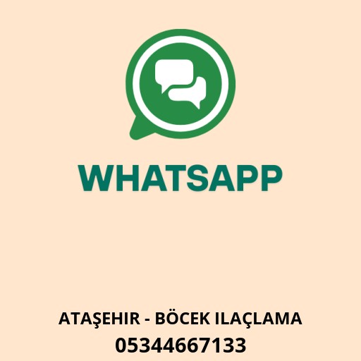 WhatsApp ile iletişim