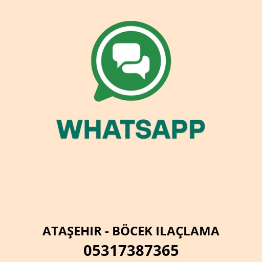 WhatsApp ile iletişim