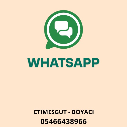 WhatsApp ile iletişim