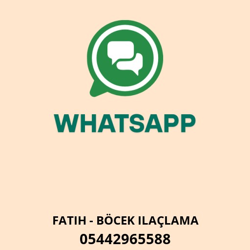 WhatsApp ile iletişim