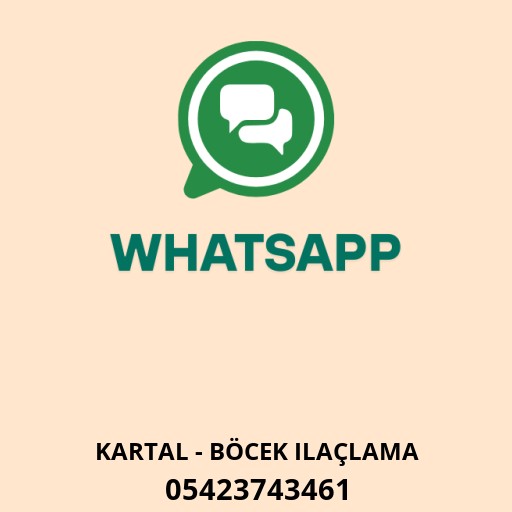 WhatsApp ile iletişim