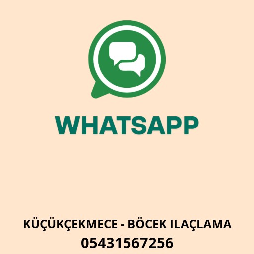 WhatsApp ile iletişim