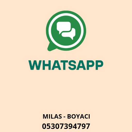 WhatsApp ile iletişim