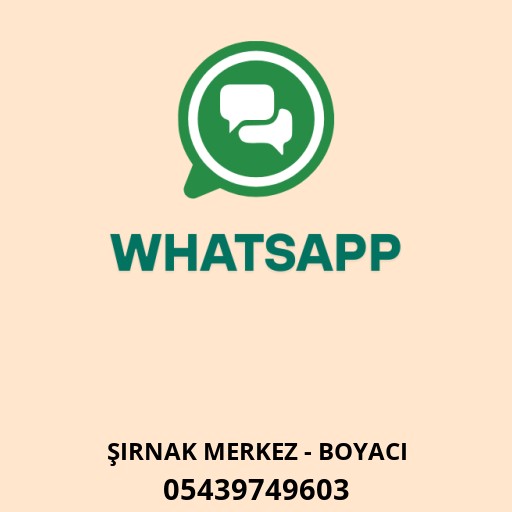 WhatsApp ile iletişim