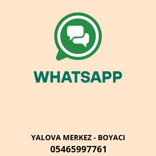 WhatsApp ile iletişim