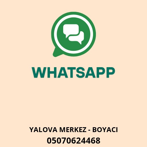 WhatsApp ile iletişim